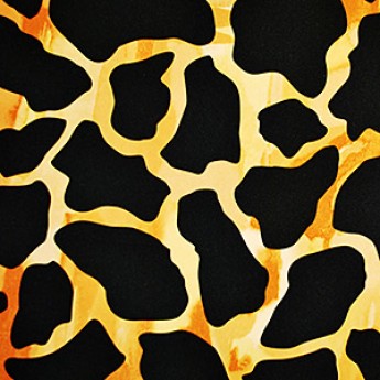 Print Overlays, Giraffe