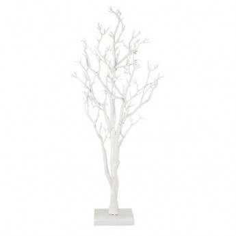 White Manzanita trees