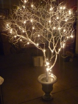 White Manzanita with lights