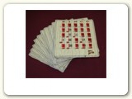 Bingo Cards; pack of 10