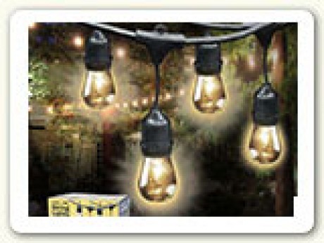 Cafe String Light; 48' long, 24 bulbs (11 watt)