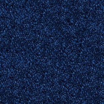 Carpeting Blue