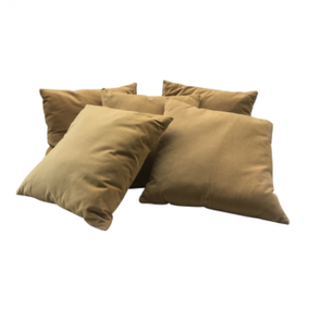 Rylee Velvet Pillows