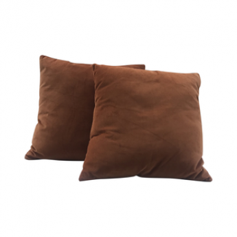 Chelem Velvet Pillows
