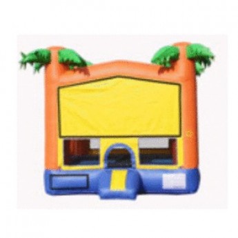 DD- Regular bouncer with Palms 13'x13' – with basketball hoop, add any front theme specify in notes