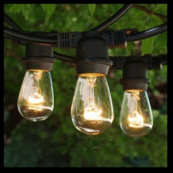 String Lights 43-48 feet Clear Bulbs Indoor/Outdoor (Commercial Grade)